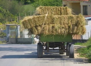 Transporting hay (Fier, Albania, 2017) Transporting hay (Fier, Albania, 2017)
